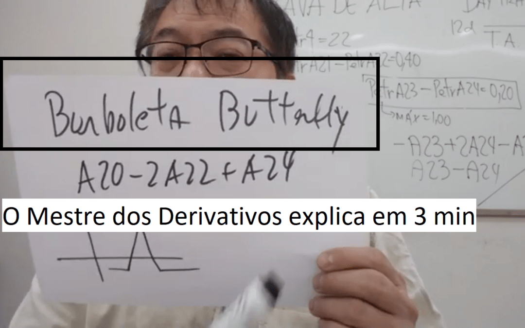 Dinâmica da Borboleta de Opções